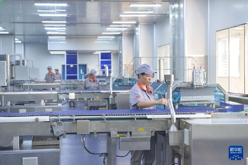 高質量發展調研行丨守正創新，以現代科技賦能傳統瑰寶——探訪重慶涪陵太極集團的中醫藥產業升級之路